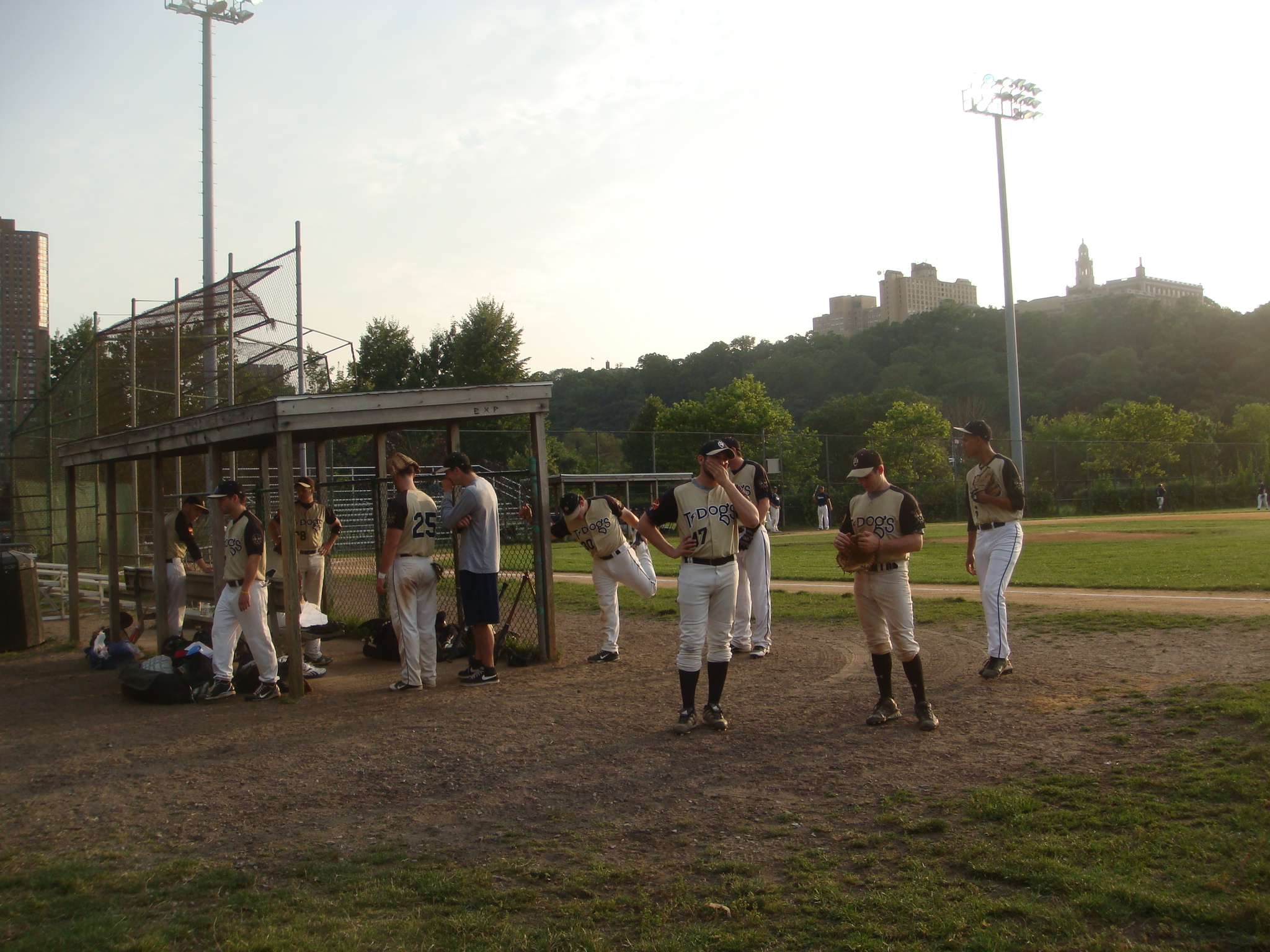 the t-dogs
